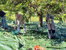 2025-10-17 19.41.28-1